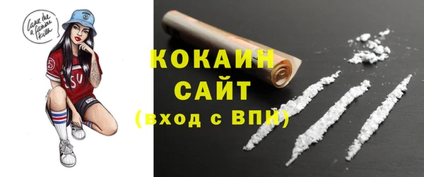 гидра Абаза