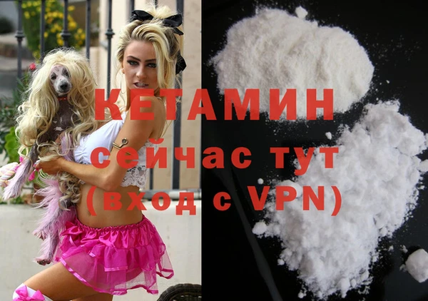 гидра Абаза