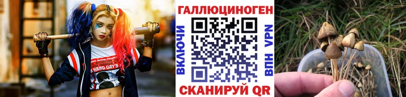 Псилоцибиновые грибы мухоморы  купить наркоту  Иркутск 